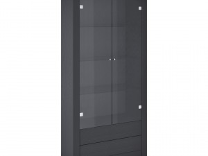 cabinet-showcase techno 3D Model
