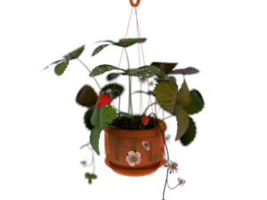 냄비에 딸기 3D 모델