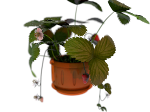 strawberries in a pot 3D Model