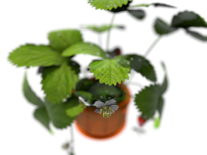 strawberries in a pot 3D Model