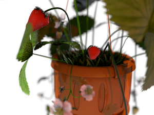 strawberries in a pot 3D Model