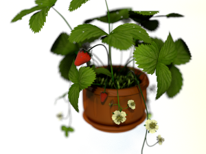 strawberries in a pot 3D Model
