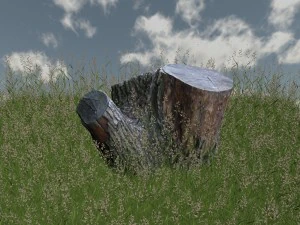 oude droge stronk 3D Model
