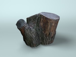old dry stump 3Dモデル