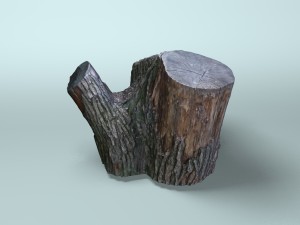 old dry stump 3Dモデル