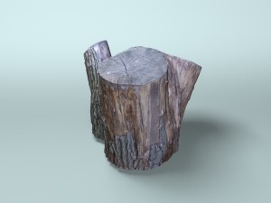 old dry stump 3Dモデル