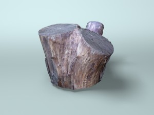 old dry stump 3Dモデル