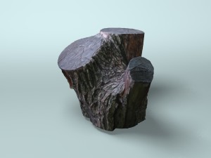 old dry stump 3Dモデル
