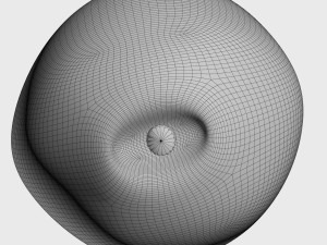 pear 3D Model