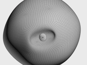 pear 3D Model
