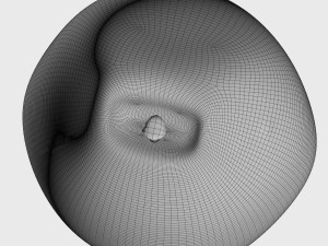 pear 3D Model