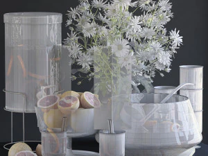 decorative set with grapefruit 3D Model