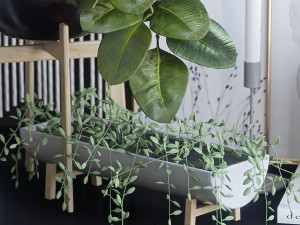 decorative set with ficus 3D Model