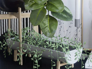 decorative set with ficus 3D Model