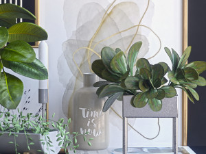 decorative set with ficus 3D Model