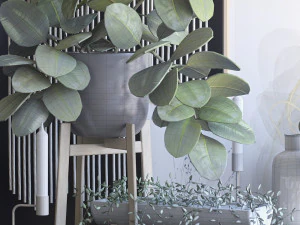 decorative set with ficus 3D Model