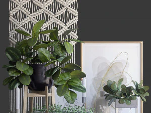 decorative set with ficus 3D Model