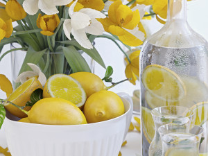 decorative set with lemons 3D 模型