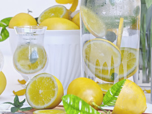 decorative set with lemons 3D 模型