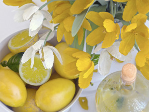 decorative set with lemons 3D 模型