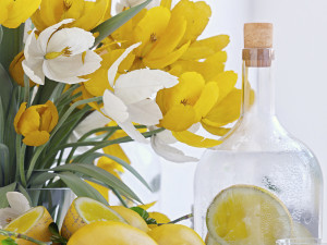 decorative set with lemons 3D 模型