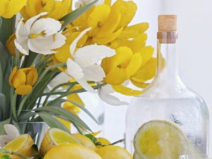 decorative set with lemons 3D Model