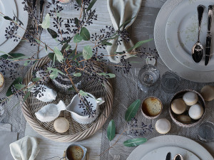 tableware set Modello 3D