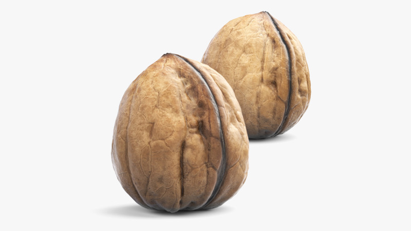 Low-Poly Walnut 3D Scan 5 LODs 3D Model .c4d .max .obj .3ds .fbx .stl .blend 