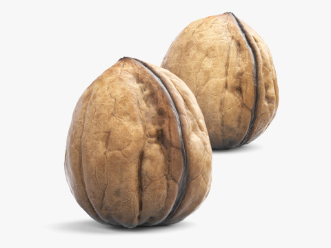 ローポリ ウォールナット 3D スキャン 5 LOD 3Dモデル