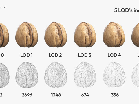 Low-Poly Walnut 3D Scan 5 LODs 3D Model