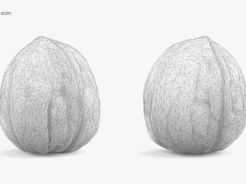 Low-Poly Walnut 3D Scan 5 LODs 3D Model