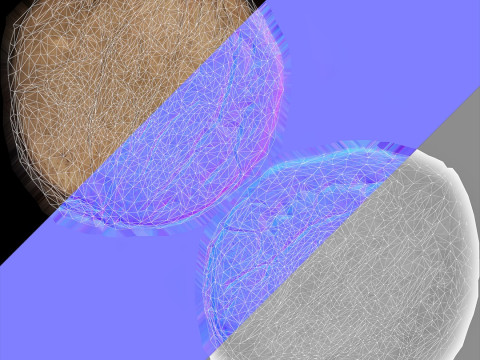 Low-Poly Walnut 3D Scan 5 LODs 3D Model