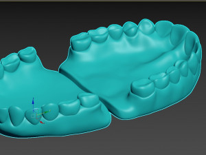 Human Teeth Gums Modèle 3D