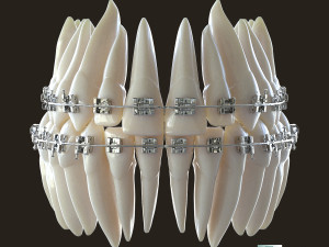 Teeth Model 3D