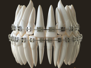 Teeth Model 3D