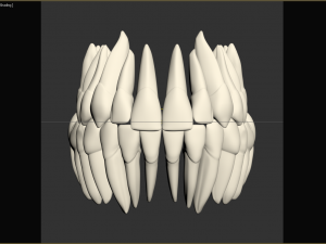 Teeth Model 3D