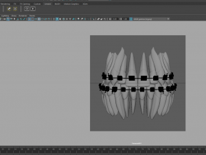 Teeth Model 3D