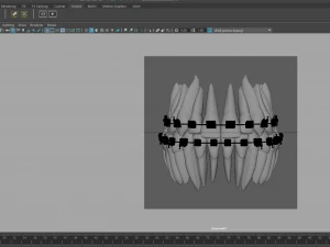 Teeth 3D Model
