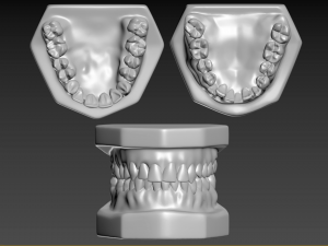 Teeth Modello di stampa 3D