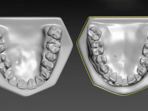 Teeth 3D Print Model
