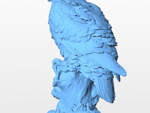 eagle Modello 3D