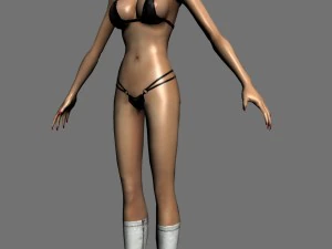 アリーナ 3Dモデル