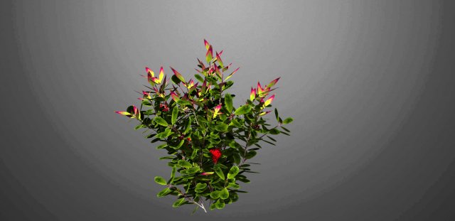 heavenly bamboo 3D Model .c4d .max .obj .3ds .fbx .stl .blend 