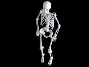 polygonal skeleton 3D 打印模型