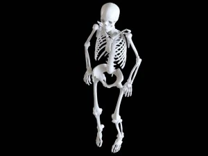 polygonal skeleton 3D Print Model