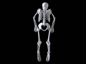 polygonal skeleton 3D 打印模型