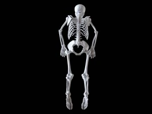 polygonal skeleton 3D Print Model