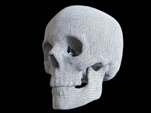 polygonal skeleton 3D 打印模型