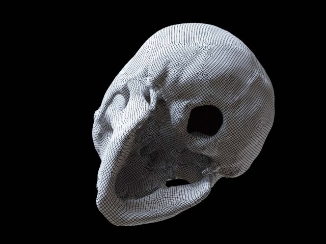 Download polygonal skeleton 3D Model
