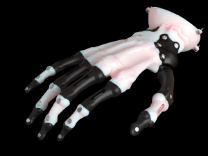 hand prosthesis the current anatomical model 3D Print Model